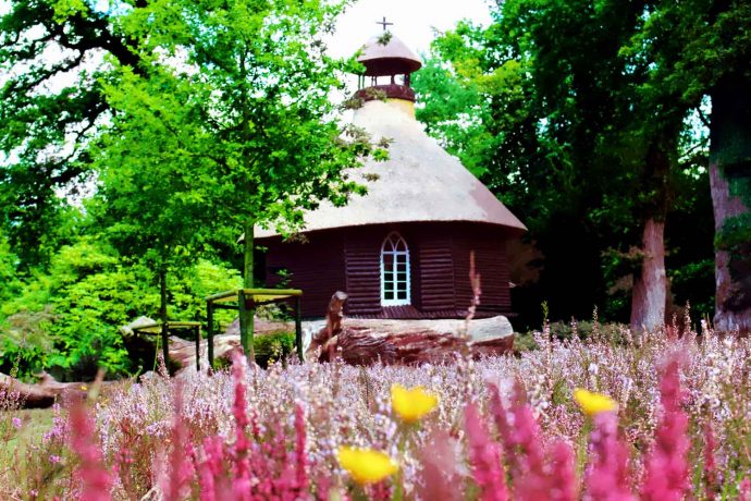 Foto Heidelandschaft mit Reetdachhaus in Ostfriesland, Natur mit Blumen-Vordergrund