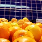 Foto Obst auf Markt in Spanien mit Orangen, Farben orange rot gelb blau mit Fliesen im Hintergrund