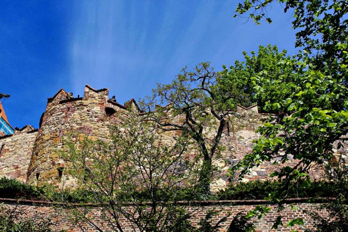 Foto Burg in Prag unter blauem Himmel, Vordergrund grüne Blätter