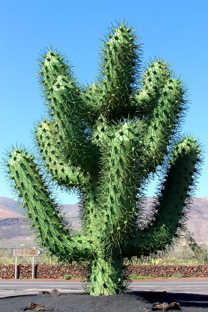 Foto Kaktus Skulptur aus Stahl in grün strahlend bei Tageslicht vor blauem Himmel