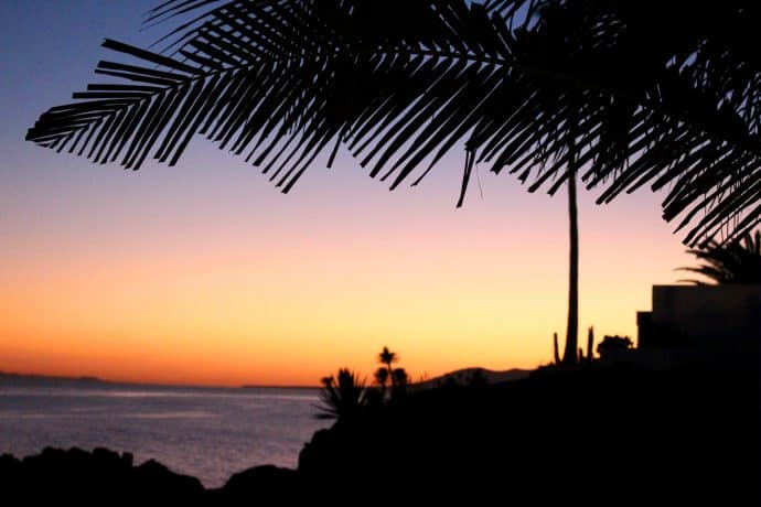 Foto Sonnenuntergang mit Palmen am Meer auf Lanzarote orange blau dunkel